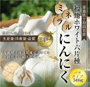 【0のつく日 ポイント5倍】 にんにく バラ 500g 訳あり 青森県産 国産 無添加 送料無料 福地ホワイト六片種 バラタイプ 大小混合 土付き皮むけ発根・芽有 健康 食品 料理 産地直送 ポイント消化 お得 250g×2袋入 令和5年産 当日発送翌日発送(定休日を除く) 3