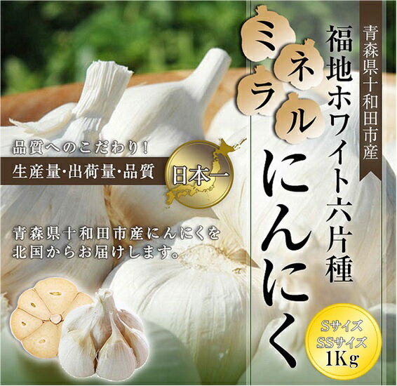 【マラソン期間中限定20％OFF】 にんにく 国産 訳あり 1kg Sサイズ SS(2S) 青森県産 無添加 送料無料 サイズ混合 土付き 根あり 福地ホワイト六片種 ニンニク 健康 食品 料理 産地直送 にんにく玉 令和5年産 当日発送 翌日発送(定休日を除く) 2