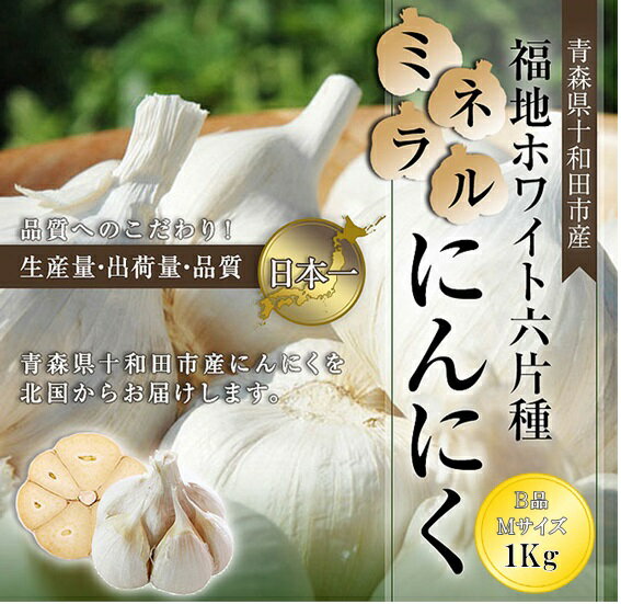 にんにく 国産 B品 Mサイズ 1kg 青森県産 無添加 福地ホワイト六片種 送料無料 贈答品 家庭用 どちらでも 根すり済み プレゼント 贈り物 青森県十和田市産 健康 料理 令和6年産約18玉～23玉入5日以内発送