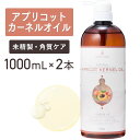 アプリコットカーネルオイル 1000ml×2本セット【天然100%・未精製】あんず油 杏油 パーシック油 杏仁油 マッサージオイル キャリアオイル ボディオイル ベースオイル アロマ 大容量 業務用 ボタニカル 無添加 美容オイル フェイスオイル スキンケア 保湿 ポンプ式 送料無料