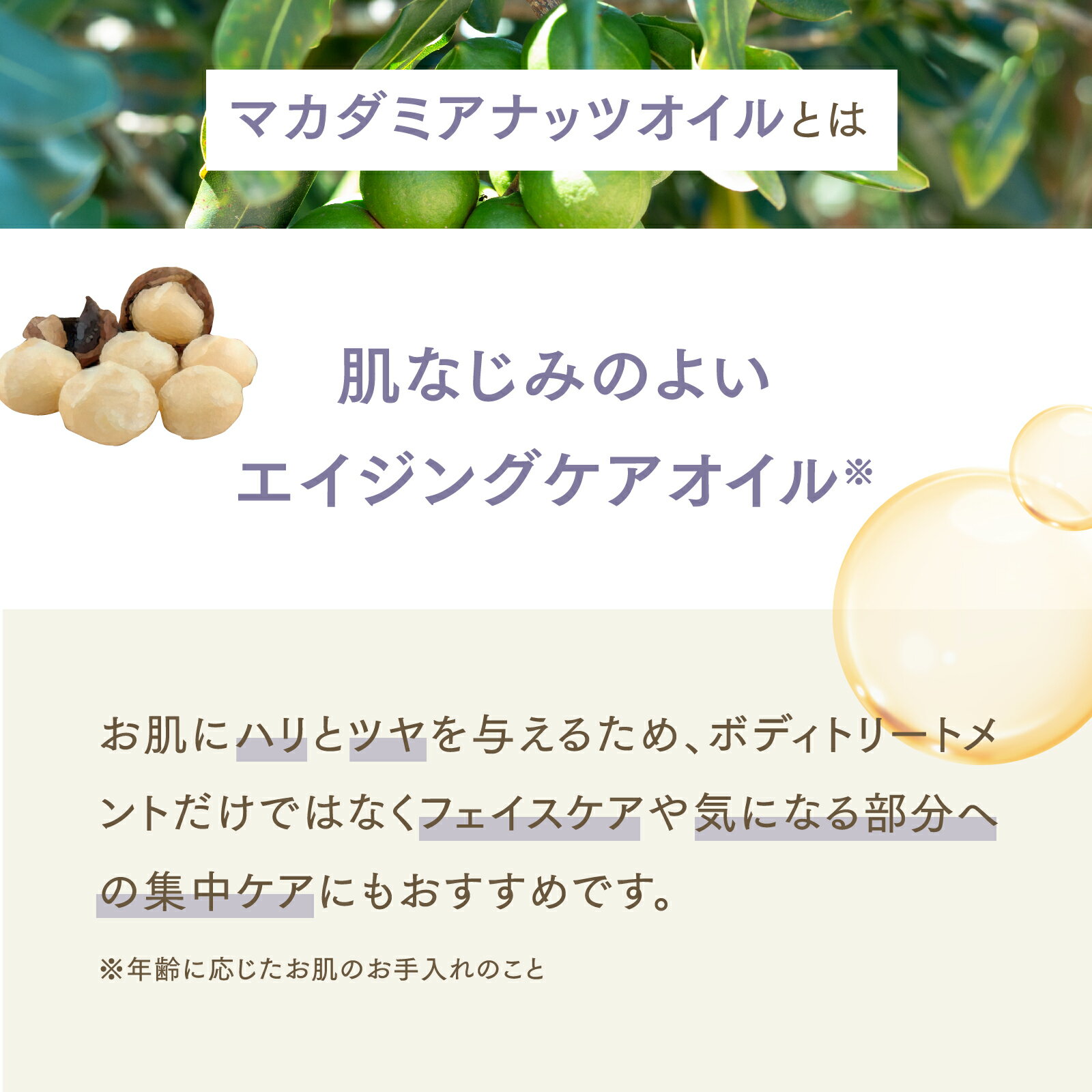 ��12L�ۥޥ����ߥ��ʥåĥ����� 1000mL��12�ܡʥ���������ˡ�ŷ��100�������ۥޥ��ǥߥ��ʥåĥ����� �ޥå����������� ����ꥢ������ �ܥǥ������� �١��������� ������ ��̳�� ̵ź�� ���ƥ����� �����󥱥� �إ����� �ѥ�ߥȥ쥤��� �ݥ�׼� ����̵��