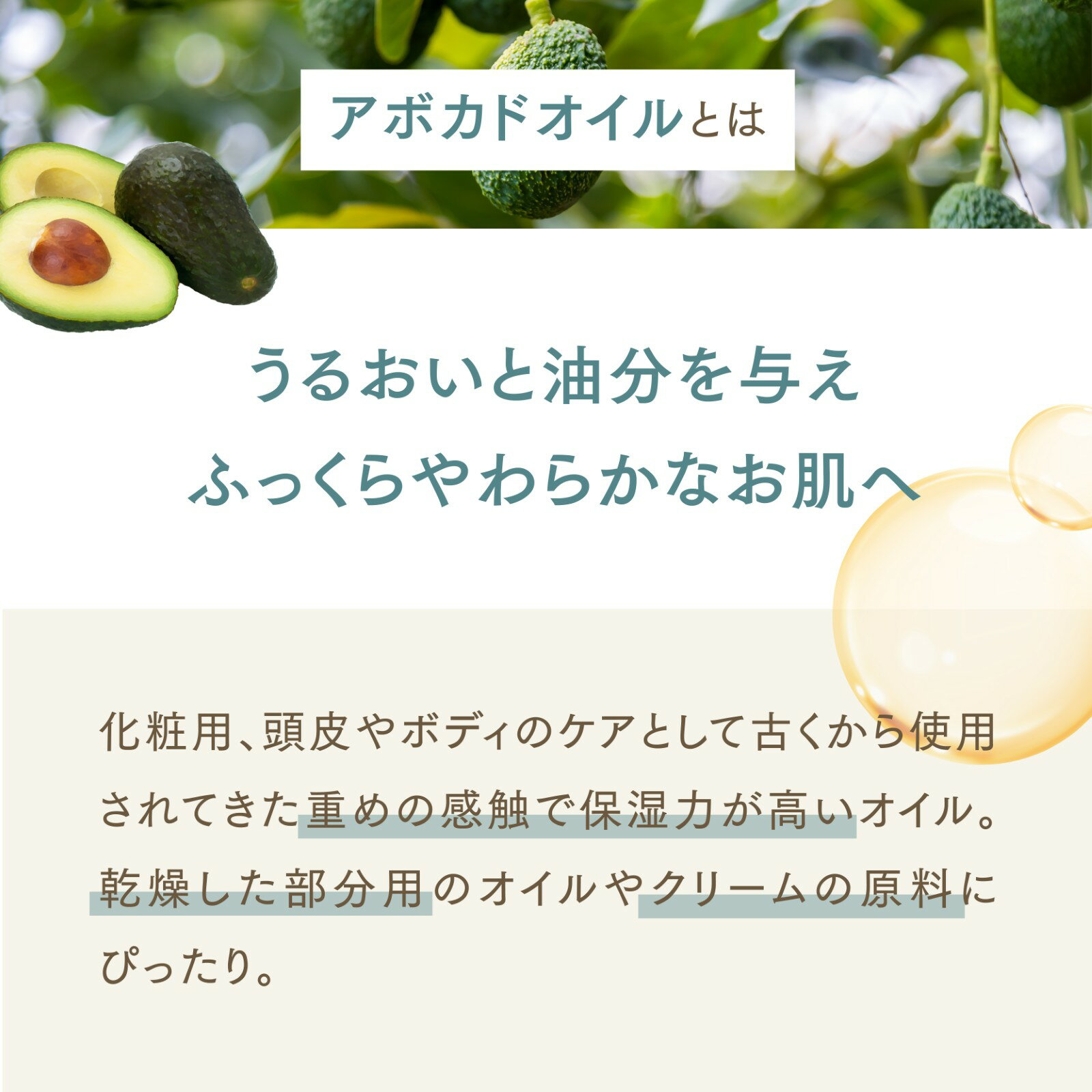 ��4.5L�ۥ��ܥ��ɥ����� 300mL��15�ܡʥϡ��ե���������ˡ�ŷ��100�������ۥ��ܥ����� �ޥå����������� ����ꥢ������ �ܥǥ������� ������ ��̳�� �ܥ��˥��� ̵ź�� ���ƥ����� �ե����������� �� �� ���� ���ݼ� �ͥ��륱�� ��ʬ���� �ܸ����� �ݥ�׼� ����̵��