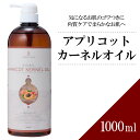 【送料無料】アプリコットカーネルオイル 1000ml 【天然100％・未精製】あんず油 マッサージオイル キャリアオイル ベースオイル アロマ 大容量 業務用 ボタニカル アプレミディ 美容オイル フェイスオイル ポンプ式