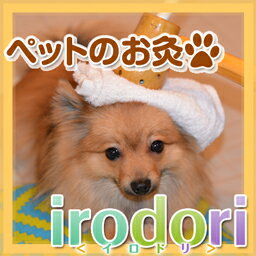 楽天・Yahoo限定★ペットのお灸 棒灸irodori『イロドリ』　RINDOUセット トワテック