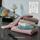 towelshop-to-coton:10000006のサンプル画像2