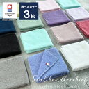 送料無料 3枚セット 今治タオル ハンカチ タオルハンカチ ハンドタオル 日本製 25cm まとめ買い ミニタオル ハンカチタオル ミニハンカチ 吸水 速乾 メンズ レディース シンプル 今治