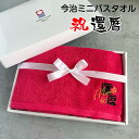 【名入れ 刺繍】今治 サンホーキン ミニ バスタオル《還暦》(タオル 今治タオル 名入れタオル 還暦祝い 還暦ギフト 還暦記念品 お祝い 60歳 60才 プレゼ...