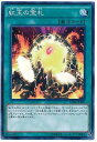 【中古】遊戯王OCG 紅玉の宝札 ノーマル CORE-JP060