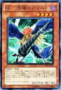 遊戯王カード 【 BF-黒槍のブラスト 】 DP11-JP002-R 《デュエリストパック クロウ編》