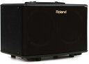Roland ローランド アコースティック ギター アンプ AC-40