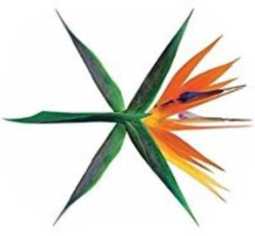 【中古】EXO 4集 - THE WAR (韓国語版) (ランダムバージョン)