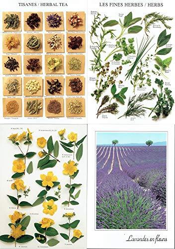 【中古】プロヴァンス（15）［ポストカード4枚組］(3)