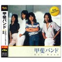 【中古】甲斐バンド 12CD-1141