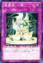 【中古】遊戯王カード 【 風霊術-「雅」 】 SD19-JP037-N 《ドラグニティ・ドライブ》