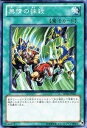 【中古】遊戯王カード 【 無情の抹殺 】 SD19-JP027-N 《ドラグニティ・ドライブ》