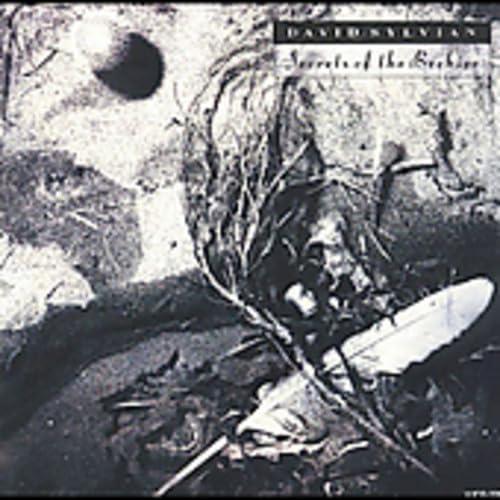 【中古】シークレッツ・オブ・ザ・ビーハイヴ