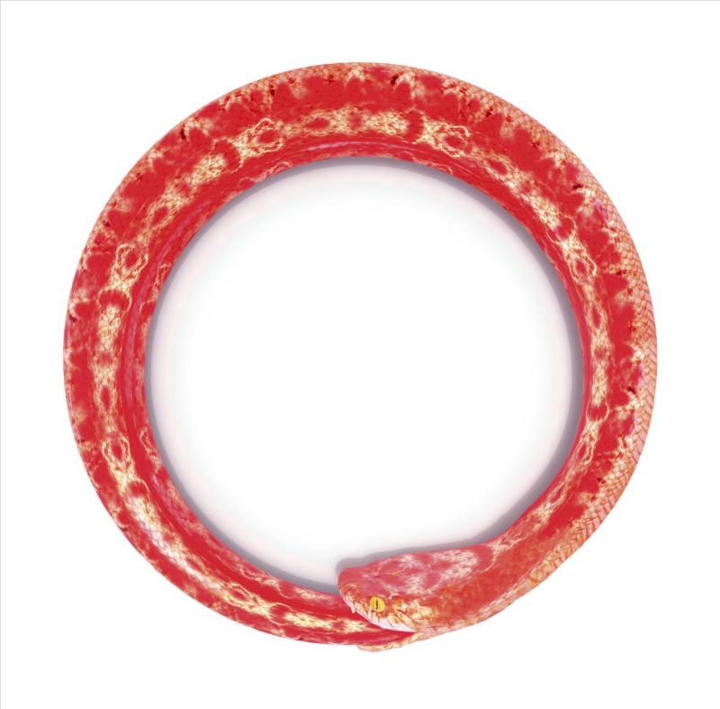 【中古】完全感覚Dreamer - ONE OK ROCK