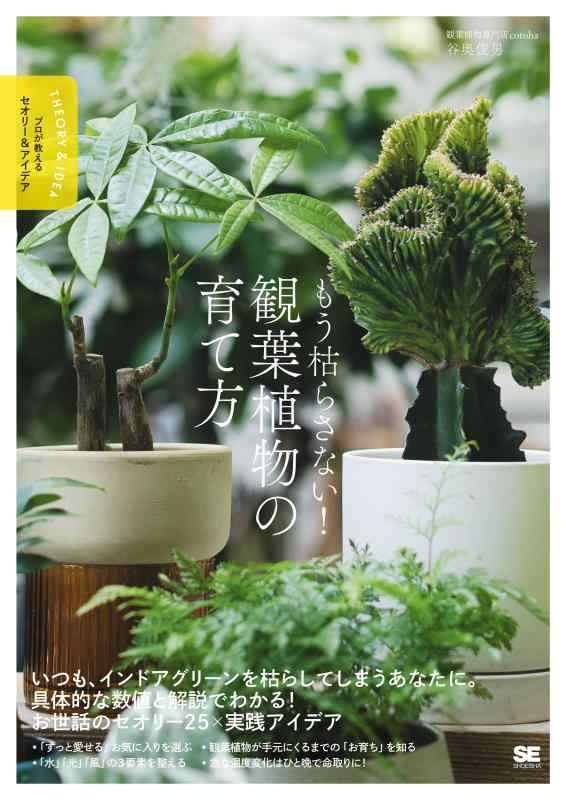 【中古】もう枯らさない観葉植物の育て方 プロが教えるセオリー＆アイデア (プロが教えるセオリー&アイデア)