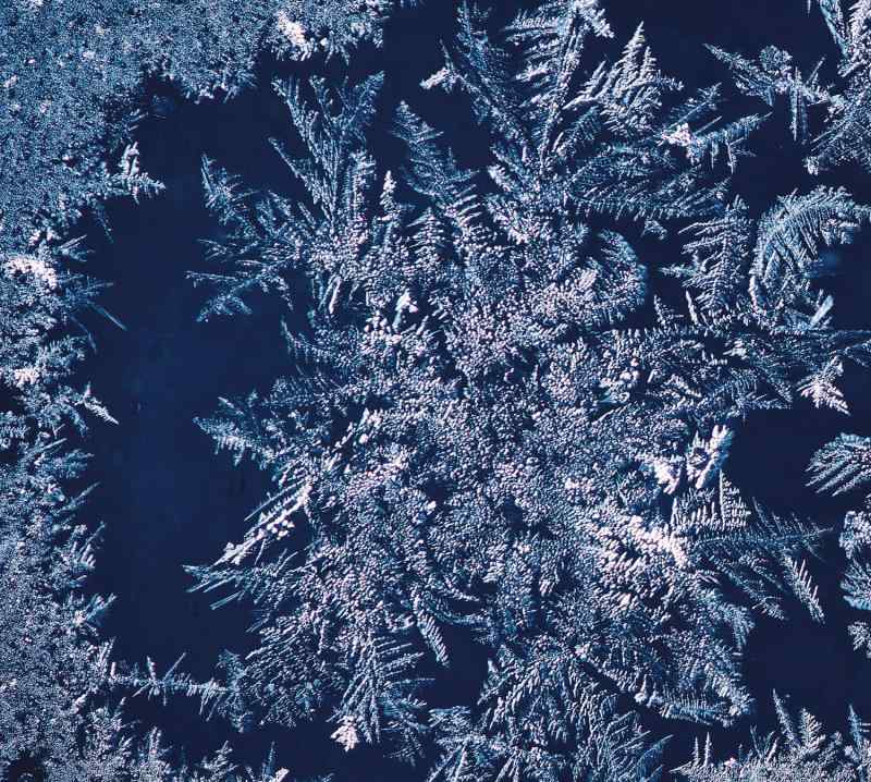 【中古】THA BLUE HERB