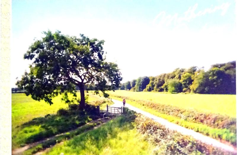 【中古】【映画パンフレット】帰らない日曜日 監督 エバ・ユッソン キャスト オデッサ・ヤング, ジョシュ・オコナー, ショペ・ディリス,