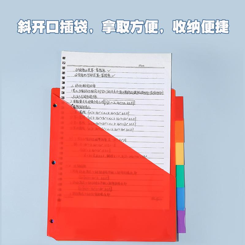 インデックス バインダー レディース メンズ 多穴式 3穴 6穴 カラーインデックス PP製 半透明 擦り加工 防水 A4