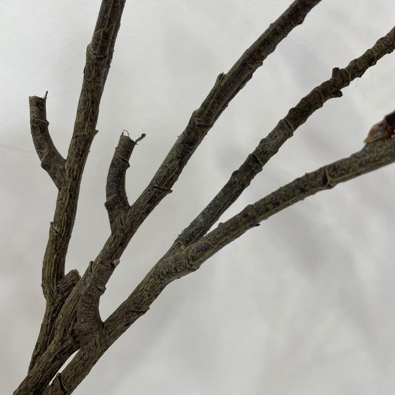 造花 玉蘭の葉 フラワー アレンジメント インテリア ディスプレイ 撮影道具 結婚式 パーティー(x2)