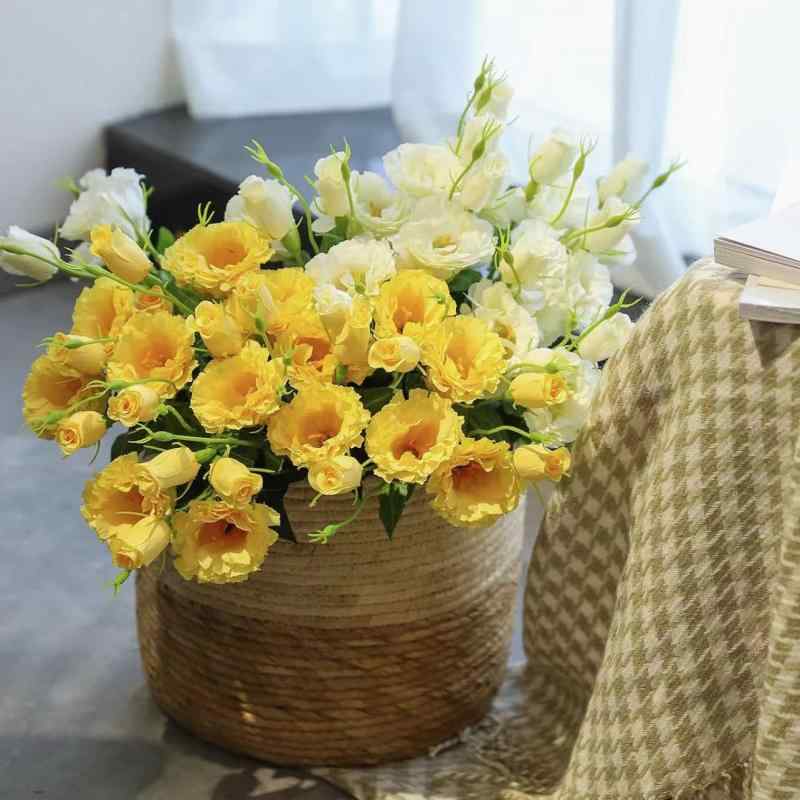 造花 桔梗 インテリア 花束 リビング 花瓶 装飾 婚式 結婚式 ディスプレイ 白 ホワイト ピンク イエロー 黄色 紫 パープル(x2)