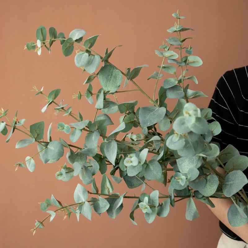 造花 観葉植物 ユーカリ 枝 葉 撮影用小物 植絨 グリーン系