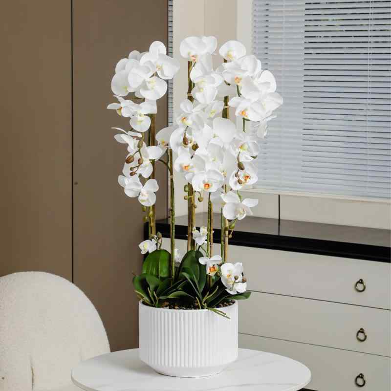 鉢植え 蝶 ラン 3D 立体 模様 花弁 豪華感 陶器風 黒 花器 リビング オブジェ(x10)