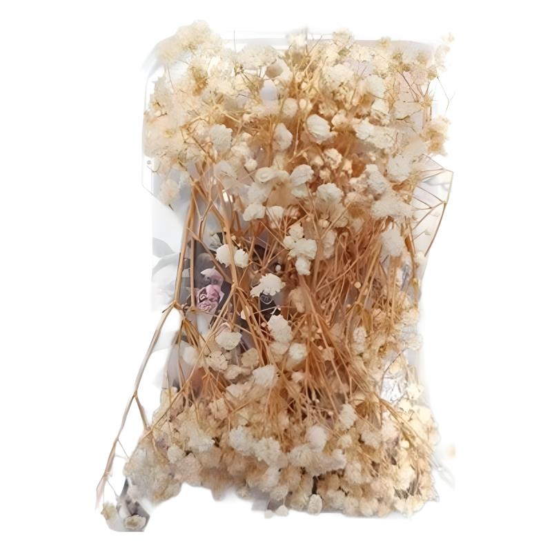 花材 満天星 ドライフラワー DIY 手作り 花瓶挿し ウェディング ブーケ 赤 黄色 白 青 ピンク 紫(x2)