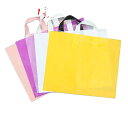 包装袋 手提げ袋 服飾雑貨 アクセサリー レギンス スパッツ 持ち帰り 梱包 包装 ラッピング(x2)