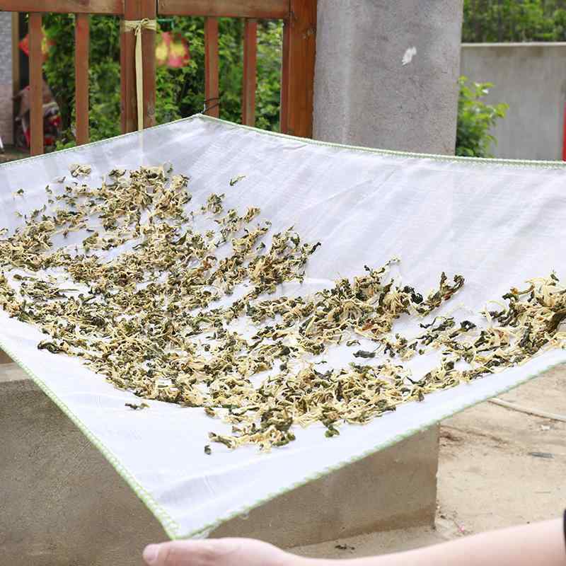 ネット 干物ネット 干し野菜ネット 食品乾燥ネット 落下防止網 虫除け網 天日干しネット