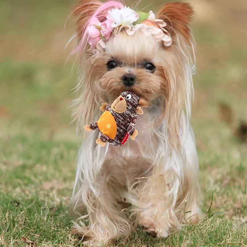 犬用おもちゃ 発声おもちゃ ぬいぐるみ 小型犬 歯磨き ぬいぐるみ ペンギン マスコット リス マスコッ..