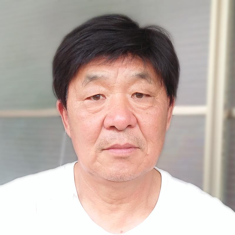 メンズ ウィッグ 男性用 ショート 自然黒 遮白 薄毛 円形脱毛症 隠し かつら ヘアピース 人毛 トップカバー 部分かつら