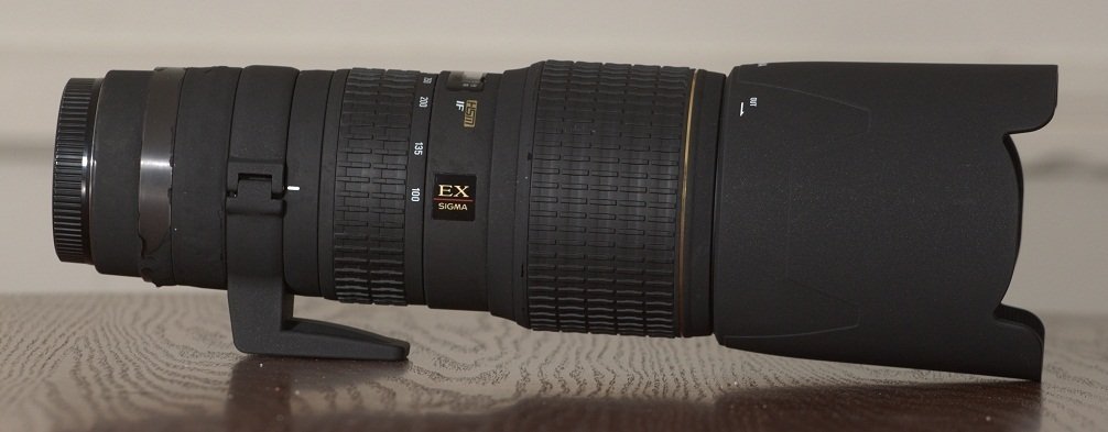 楽天市場】APO 100-300mm F4 EX DG HSMの通販 楽天市場】APO 100-300mm F4 EX DG HSMの通販