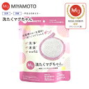洗たくマグちゃん認定店 洗濯マグちゃん【送料無料】【メール便お届け】【代引不可】洗濯用品 洗濯補助用品 SENTAKU MAGCHAN マグネシウム【RCP】宮...