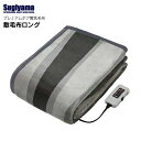 電気敷き毛布 電気毛布 プレミアムボア ロングサイズ 電気しき毛布 電気敷毛布 電気ブランケット タイマー 省エネ 抗菌防臭 静電気抑制 洗える ダニ退治 日本...