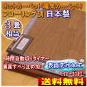 【送料無料】ホットカーペット フローリング調 3畳用 木目調・防水 節電(6時間自動切タイマー) ダニ退治(清潔) フローリング調ホットカーペット(電気カーペット)【RCP】三京 HT-30FL