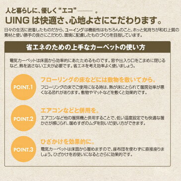 【送料無料】ホットカーペット 本体(電気カーペット 本体)　2畳用　ほかだんカーペット　6時間自動切タイマー(節電)・ダニ退治(清潔)【RCP】ユーイング(U-ING・モリタ)　UC-20K