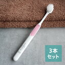 【3個まとめ買い】シュミテクト やさしく歯周ケアハブラシ極細シルキー毛 薄型ワイド(ふつう) ×3個 (アソートカラー)