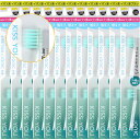 【12セット(24本)まとめ買い】KISS YOU(キスユー) フッ素イオン歯ブラシ 極細コンパクト 替え ふつう