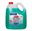 【2個まとめ買い】業務用 マジックリン 除菌プラス4.5L ×2個
