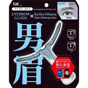 【送料無料】KQ1510　メンズアイブローガイド　男眉【日時指定不可】【代引き不可】