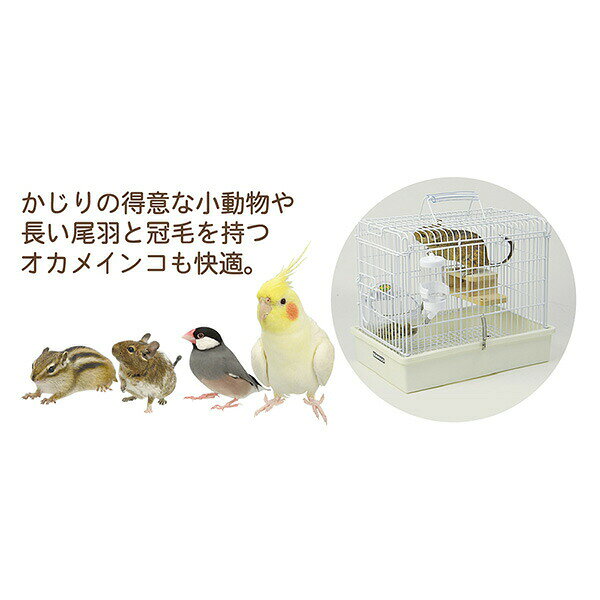 �饤�ȥ���꡼ S K11 SANKO(����/���󥳡�)