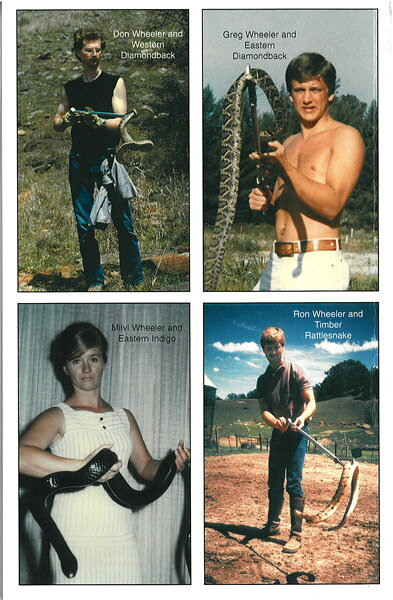 ペットと園芸のホムセントックリのTales from the Golden Age of Rattlesnake Hunting ・ ガラガラヘビハンティング ECOユニバース(エコユニバース)｜アングル2
