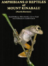 Amphibians & Reptiles of Mount Kinabaru ( North Borneo) ・ キナバル山の両生類と爬虫類 ECOユニバース(エコユニバース)