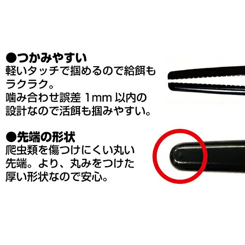 セーフティピンセット ステンレス GEX（ジェックス） 爬虫類 両生類 ステンレス 給...
