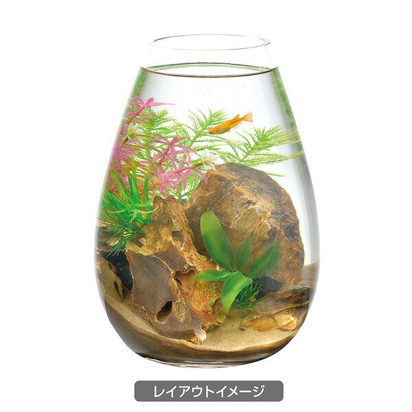 ボトルプランツ ミリオフィラム GEX(ジェックス) ボトル水槽 プランツセット アク...
