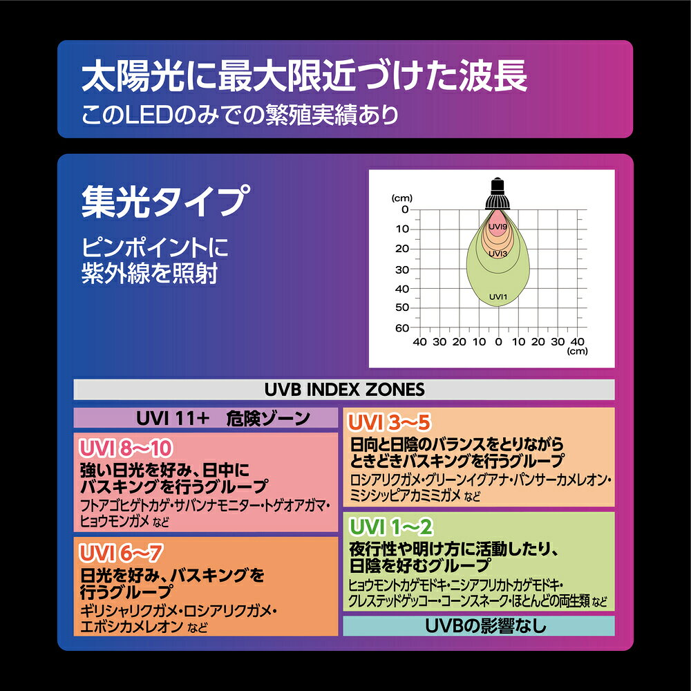 ペットと園芸のホムセントックリのテラスカイUV スポット 3W GEX 爬虫類 両生類 ライト 紫外線 UV LED｜アングル3