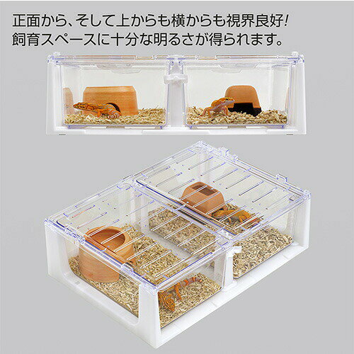 ペットと園芸のホムセントックリのハープチェストW300 RX-575 スドー｜アングル3